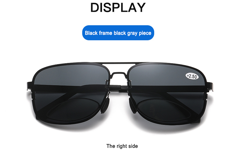 Bifocal-Sunglasses5a1n
