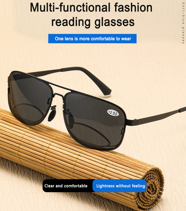 Bifocal-Sunglasses12siv